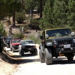 Jeeps ride down a dirt road